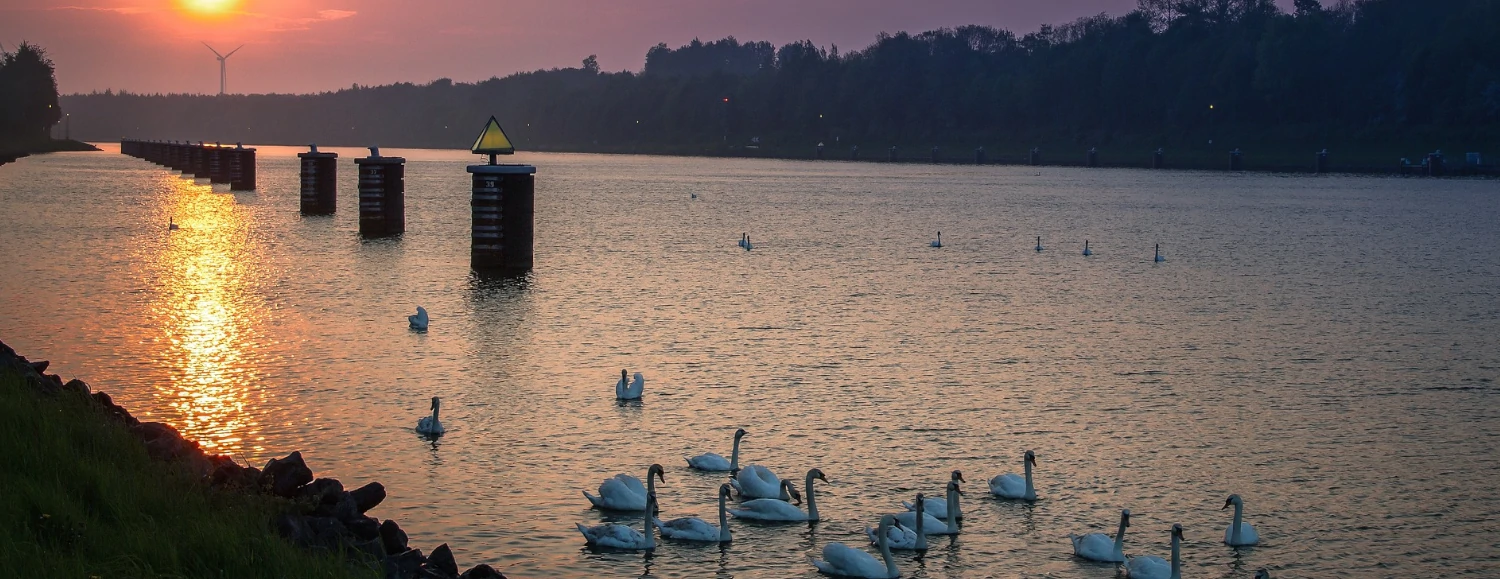 Wohnung verkauf Kiel